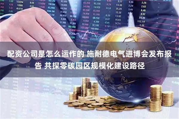 配资公司是怎么运作的 施耐德电气进博会发布报告 共探零碳园区规模化建设路径