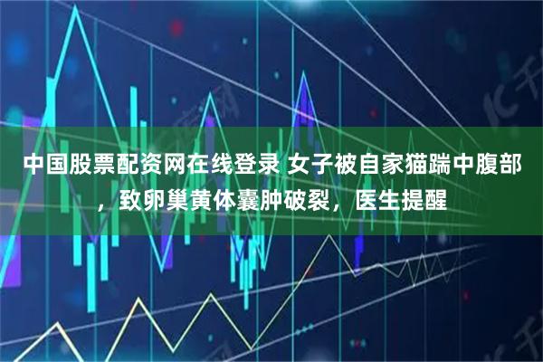 中国股票配资网在线登录 女子被自家猫踹中腹部，致卵巢黄体囊肿破裂，医生提醒